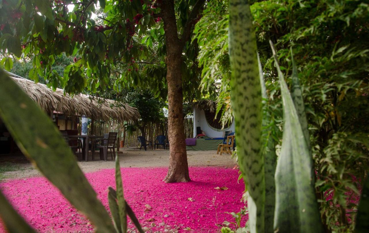 Hostal Corazon De Tagua Palomino Exterior photo