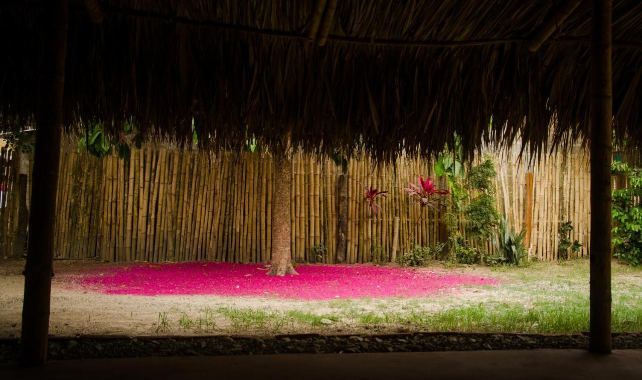 Hostal Corazon De Tagua Palomino Exterior photo