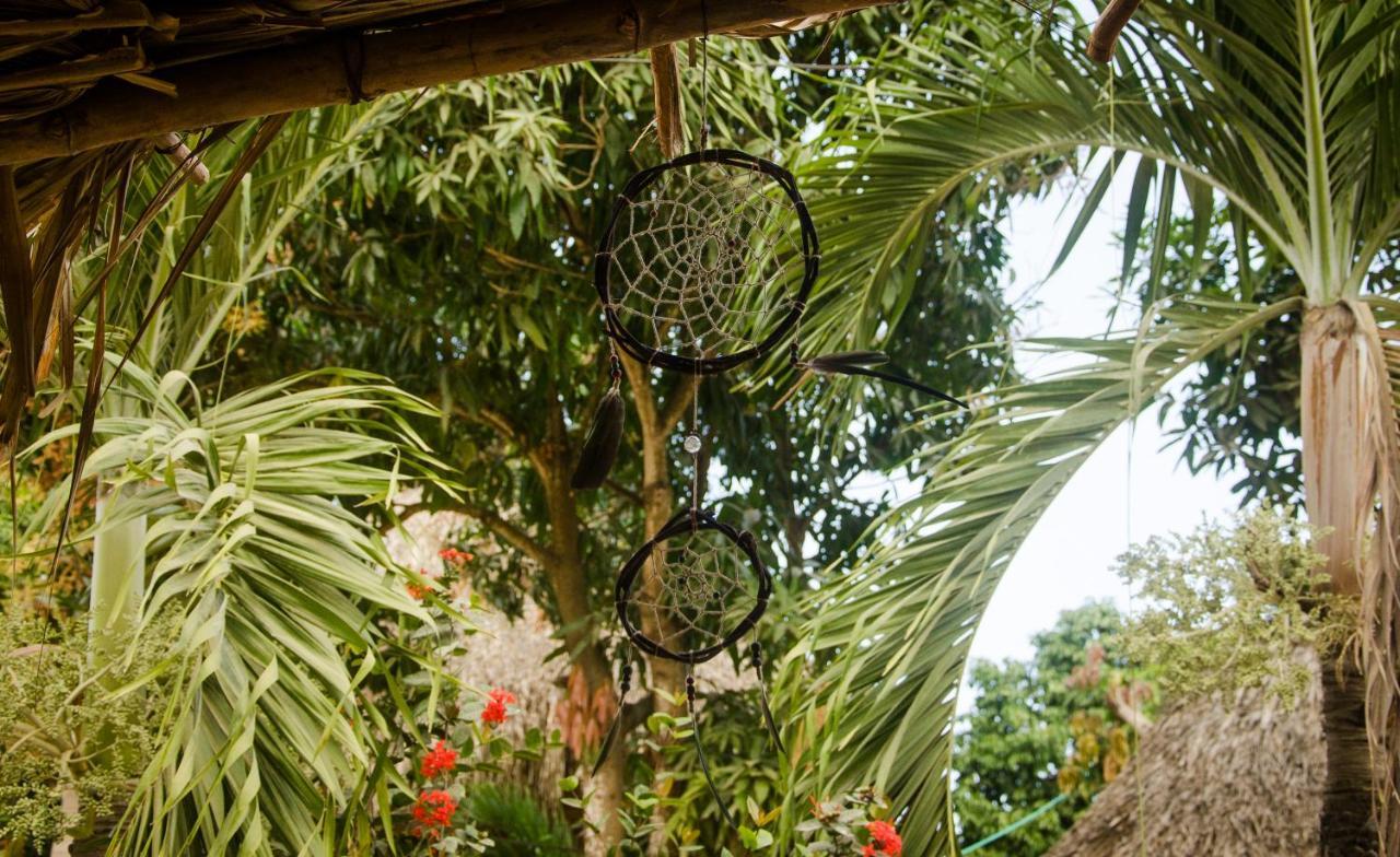 Hostal Corazon De Tagua Palomino Exterior photo