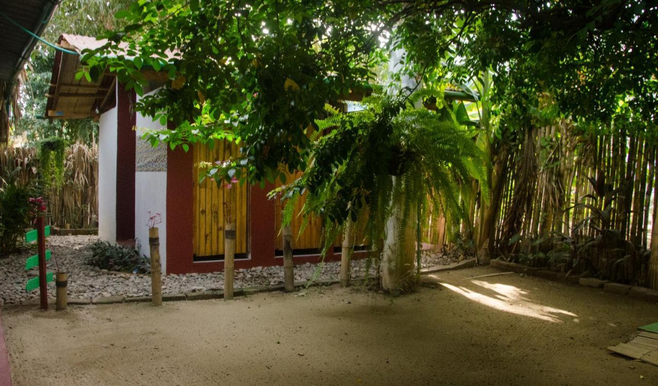 Hostal Corazon De Tagua Palomino Exterior photo